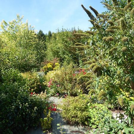 Вілла Dans Un Jardin Apremont-la-Foret Екстер'єр фото
